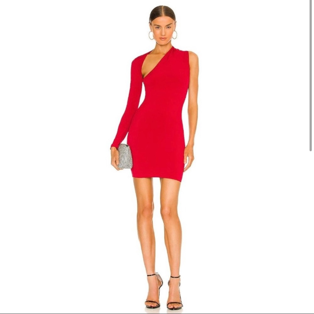 Dani Mini Dress from Revolve
